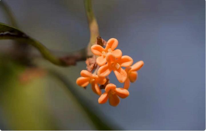 同学群没人说话是干脆都退群好吗,同学群有的人一言不发又不退群