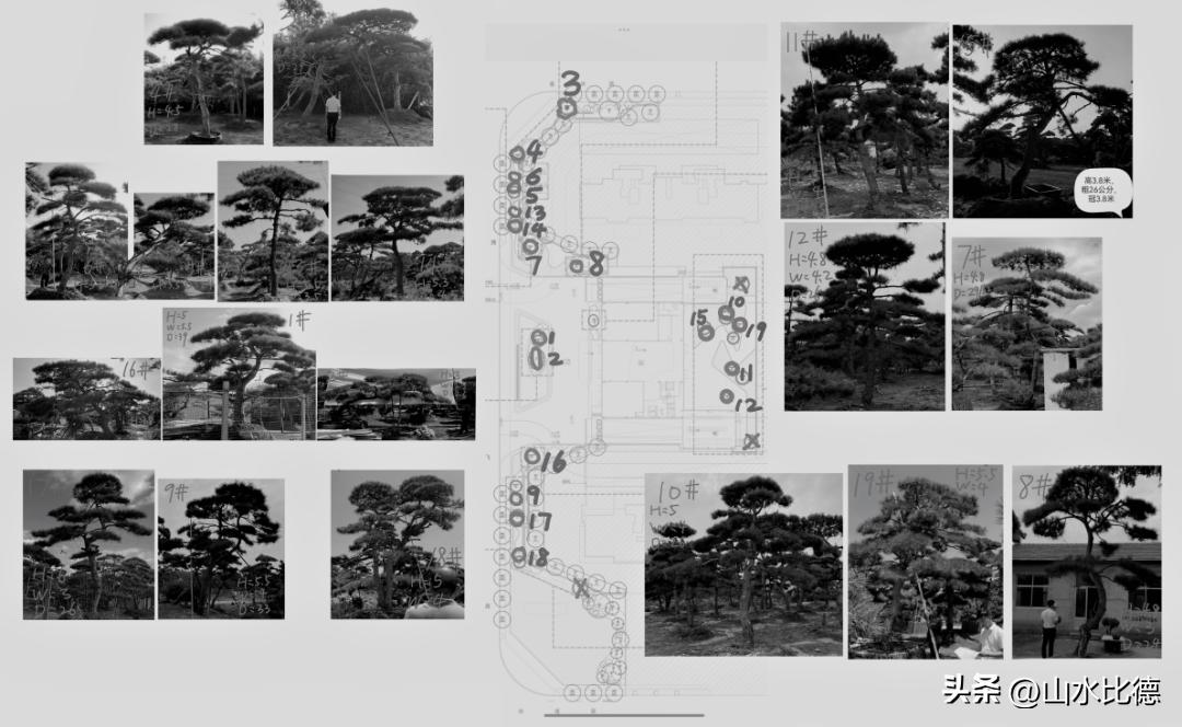 山水比德户型设计,山水比德园林设计