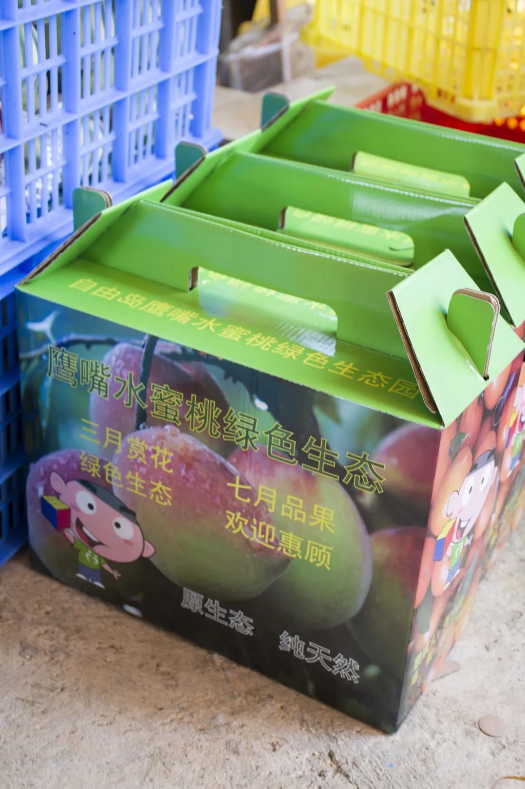 鹰嘴桃脆香甜,赣南鹰嘴桃新鲜现摘