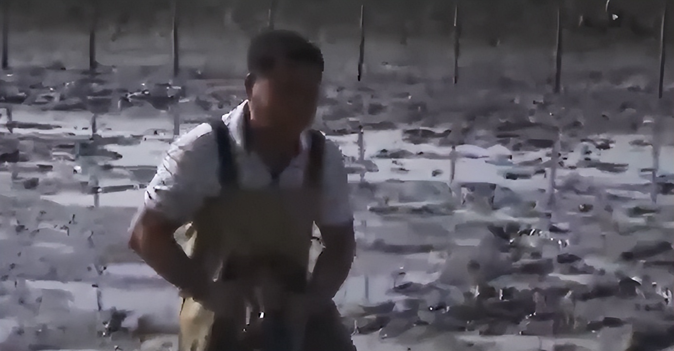 农村大叔用火养鱼年入千万,江西大叔深山养鱼一年收入几百万