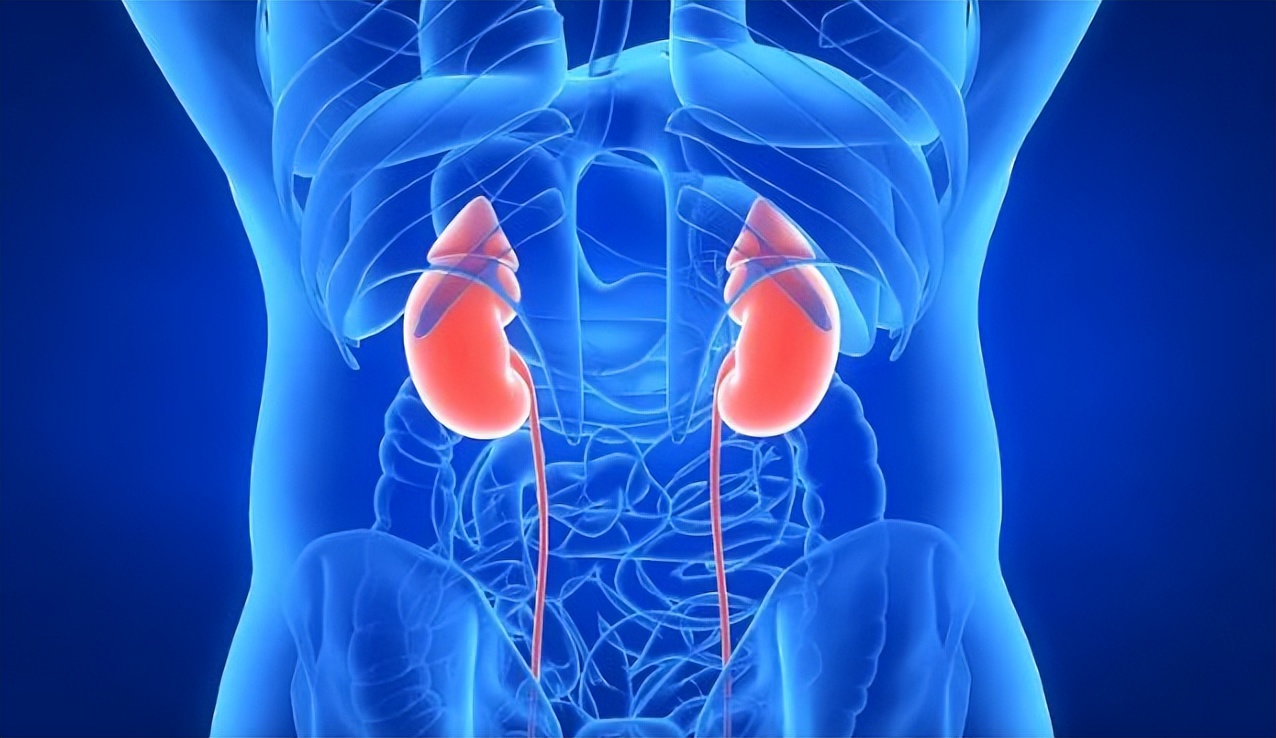 排尿困难？有可能是输尿管梗阻！