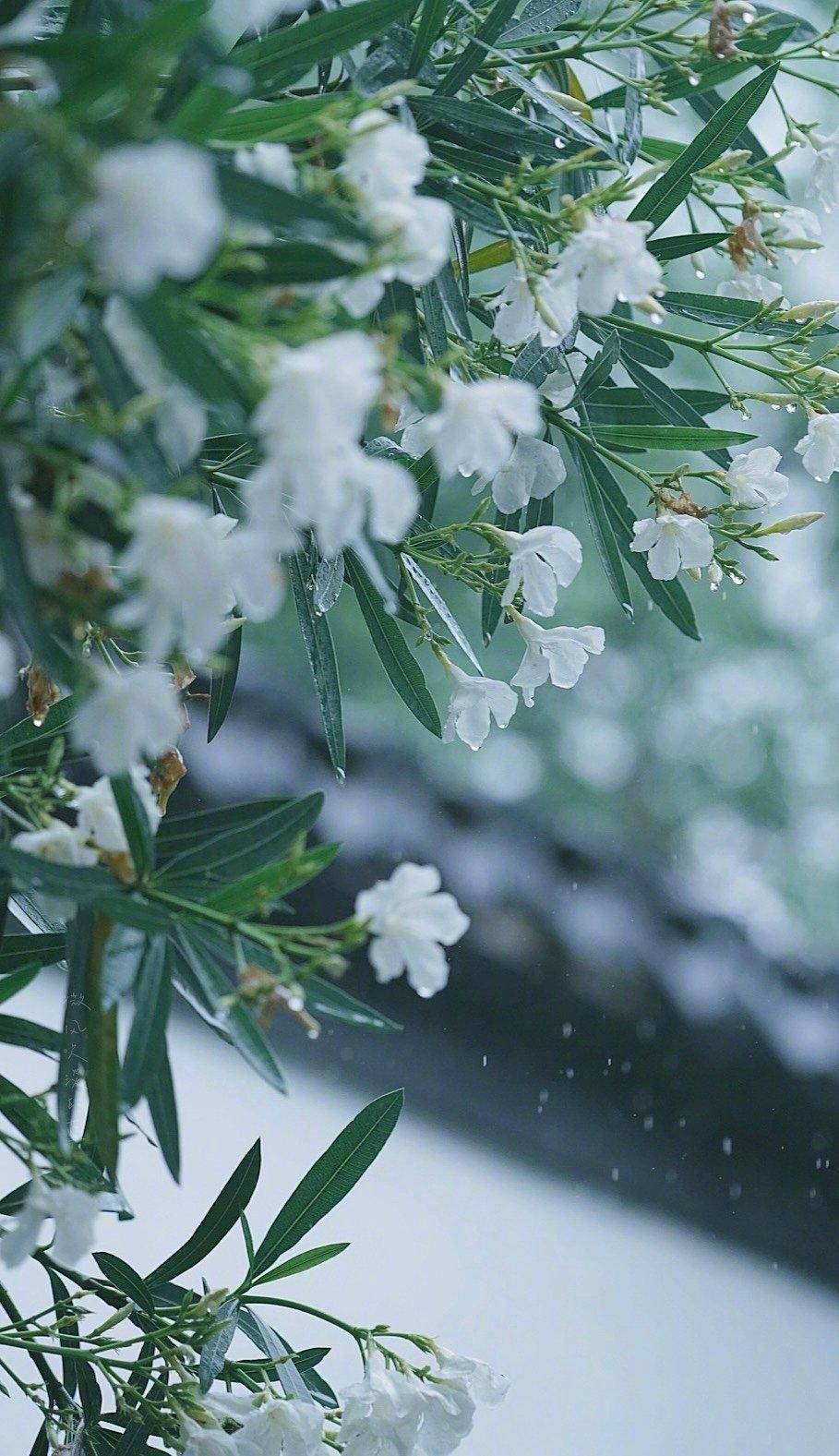 这10首诗词胜过你今年读过的鸡汤,五千年来最有哲理12句诗词太经典