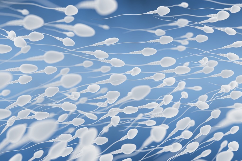 进入女性体内后，没“受精”成功的精子都去哪儿了？既好笑又心疼