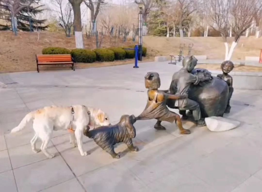 送男朋友巴黎世家哪款鞋子,巴黎世家哪款鞋送男友