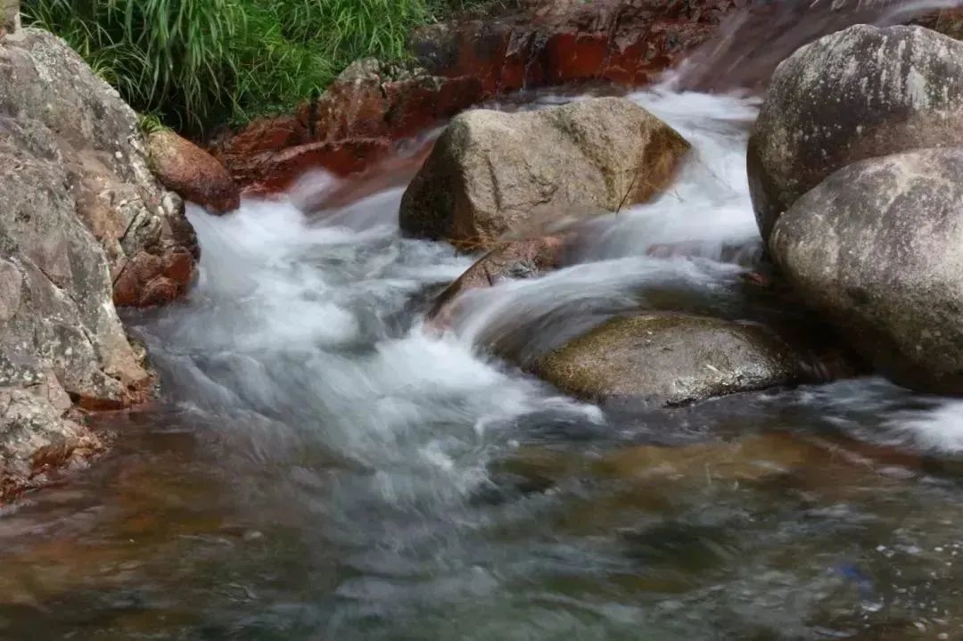【上饶天下SHOW之广信区】中华蜜蜂谷:藏在五府山竹海密林中的蜜蜂“乐园”