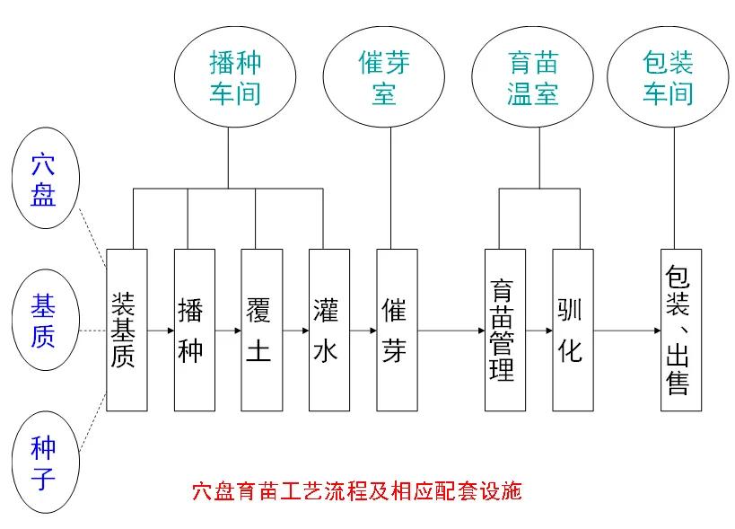 工厂化养殖基础知识,工厂化育苗的标准