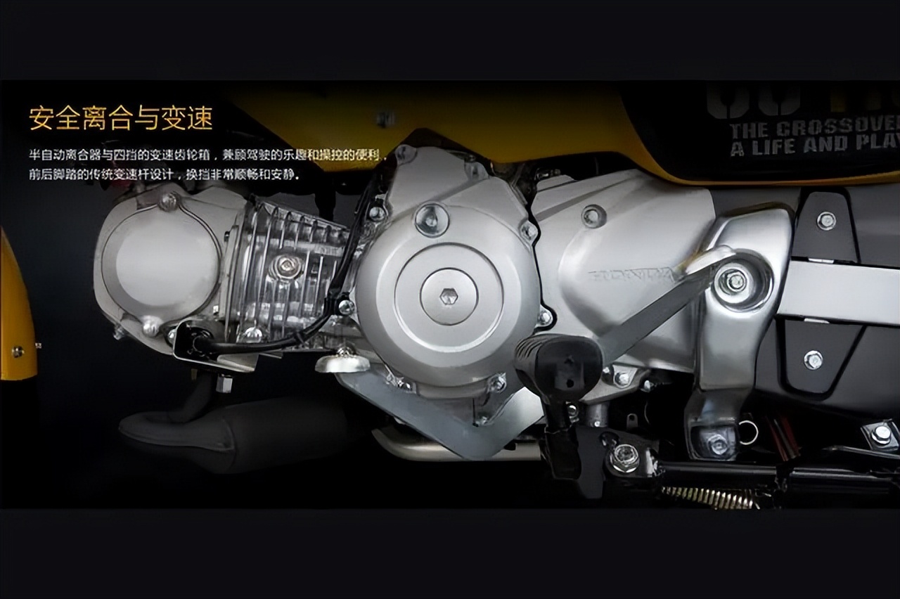 本田幼兽110多少钱一辆,到底谁买本田幼兽110