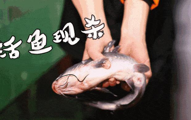 一条鱼引发的惨剧,一条鱼引发的悲剧8死13伤