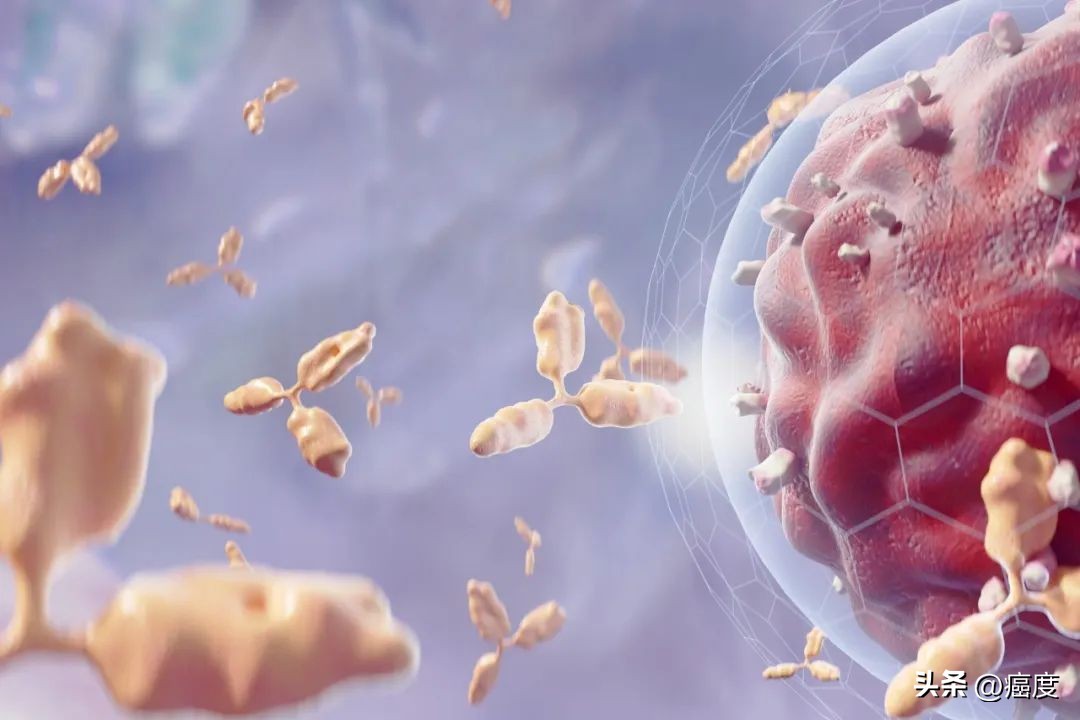 肿瘤基因检测报告解读stk11,stk11基因抑癌基因