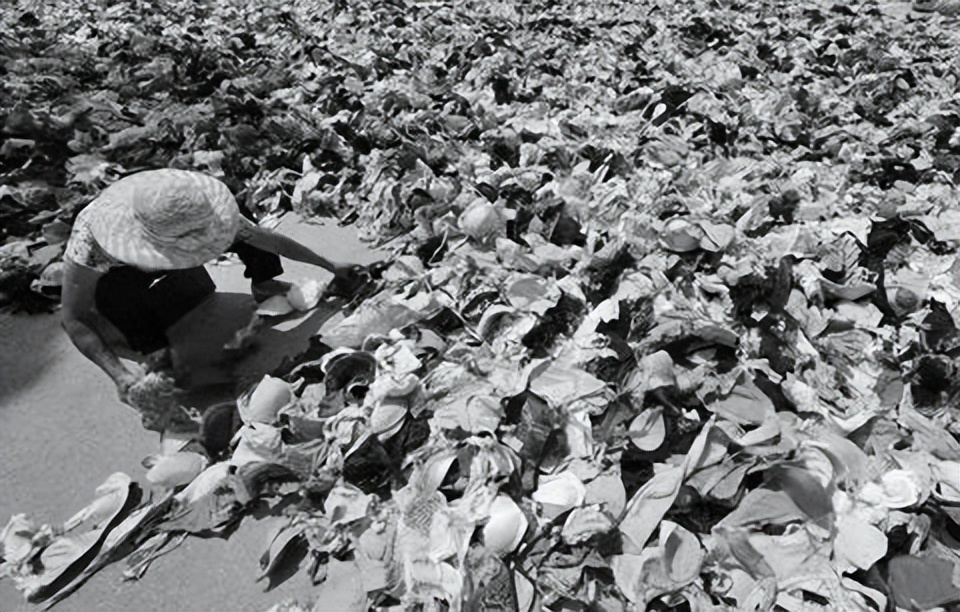 央视曝光市场“夺命毒衣服”，致癌物超标20多倍！可别再乱买了