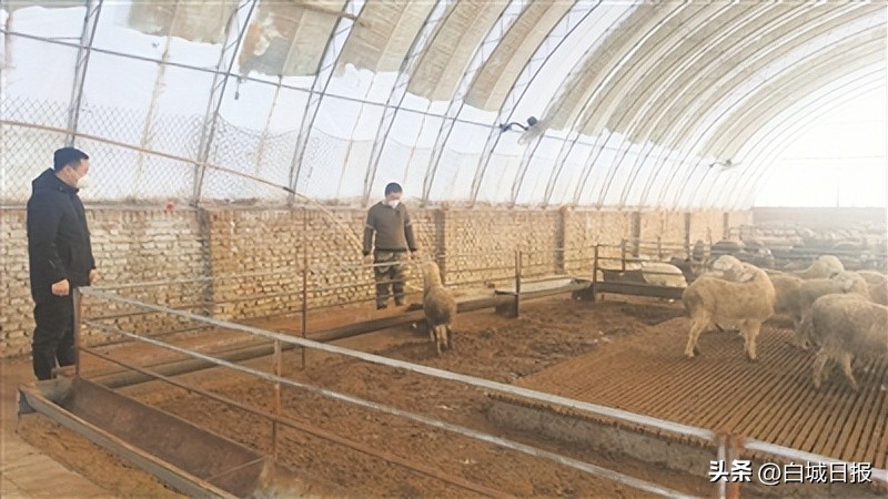 大安市安广镇永强村,安广镇永强村