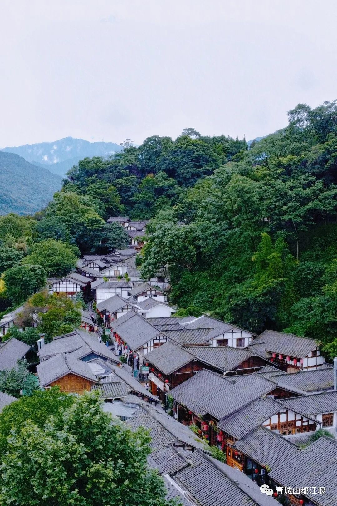 抓住秋天的尾巴！都江堰必打卡的8大晚秋好去处，步青山观烟岚云岫、入古城拾千年烟火，来过都会爱上