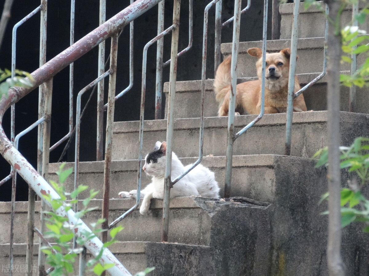 理想的生活在线观看完整版,理想的生活