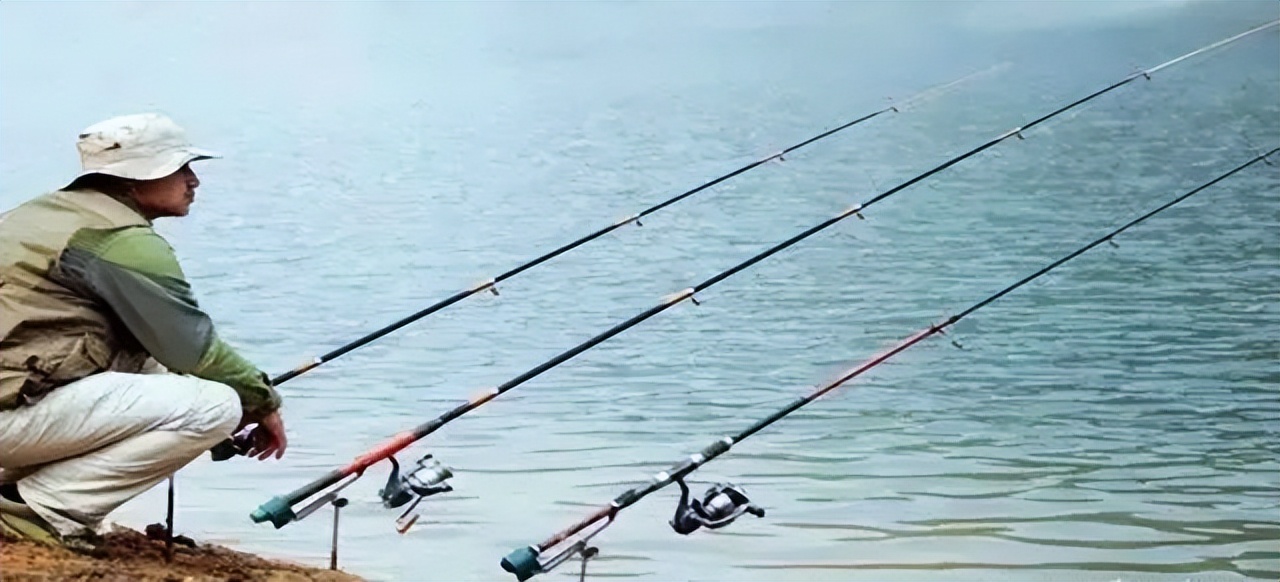 带200斤物品荒野求生一年，你能怎么过？