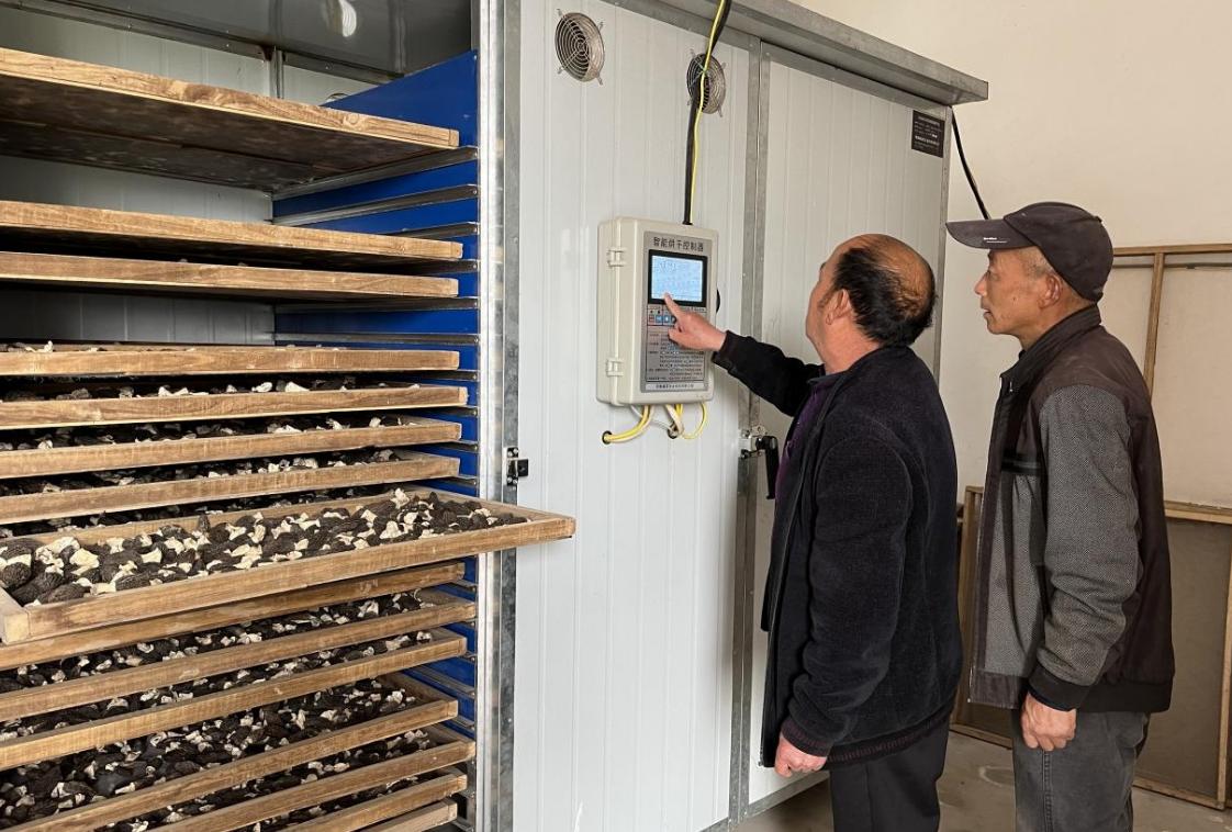 临渭区阳郭镇牛家村,临渭区故市镇牛家村