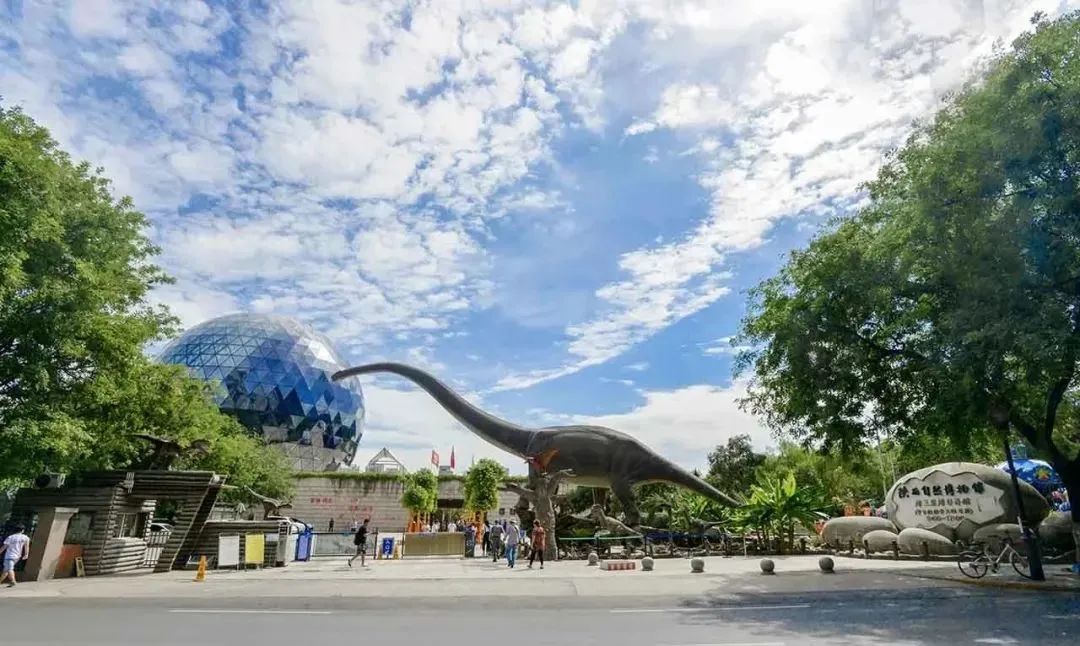 陕西博物馆一日游攻略,陕西自然博物馆五一开放吗