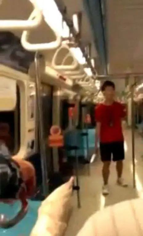 小瞧了在线阅读,一部完全由素人出演的爱情电影