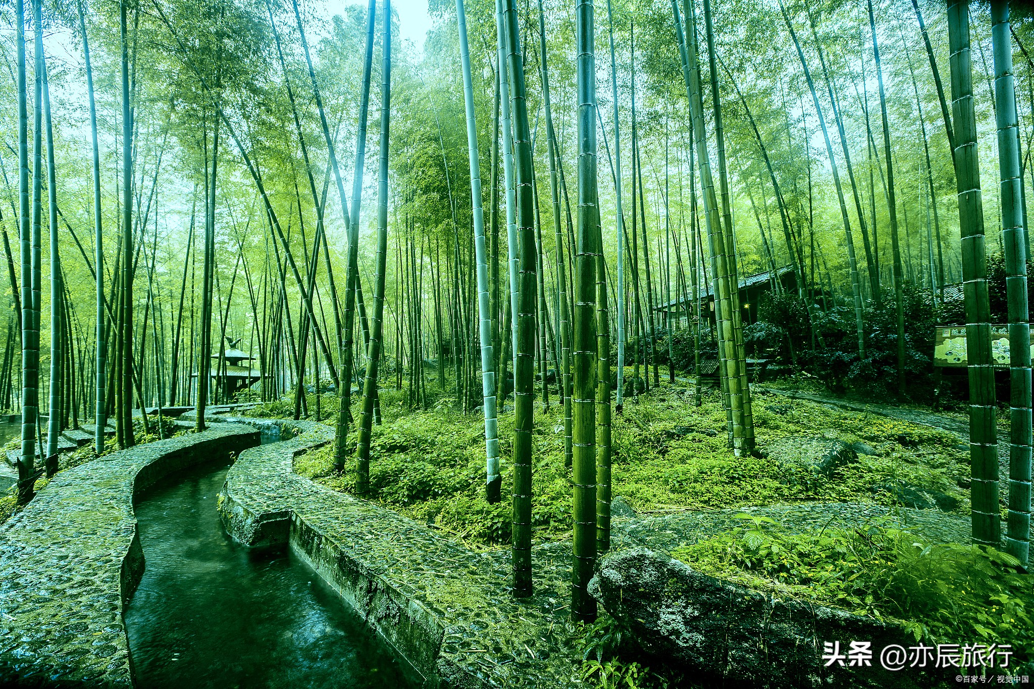 合肥周边地区有哪些旅游景点,合肥周边旅游景点推荐排名榜最新