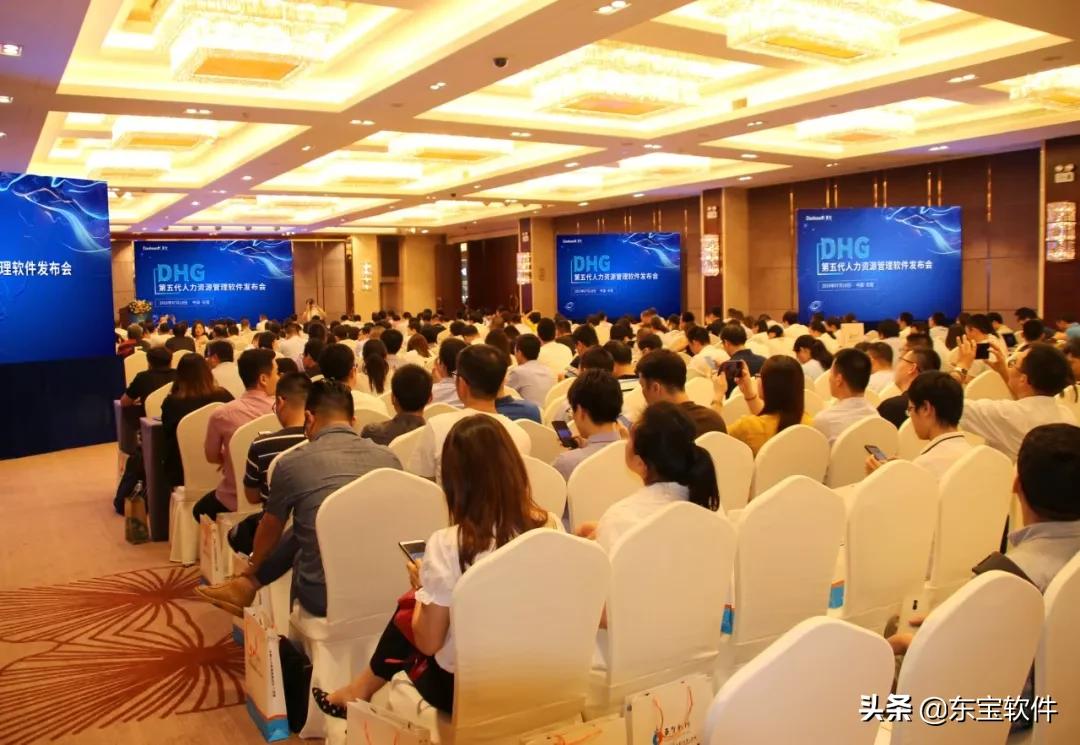 东宝软件好用吗,东宝软件公司