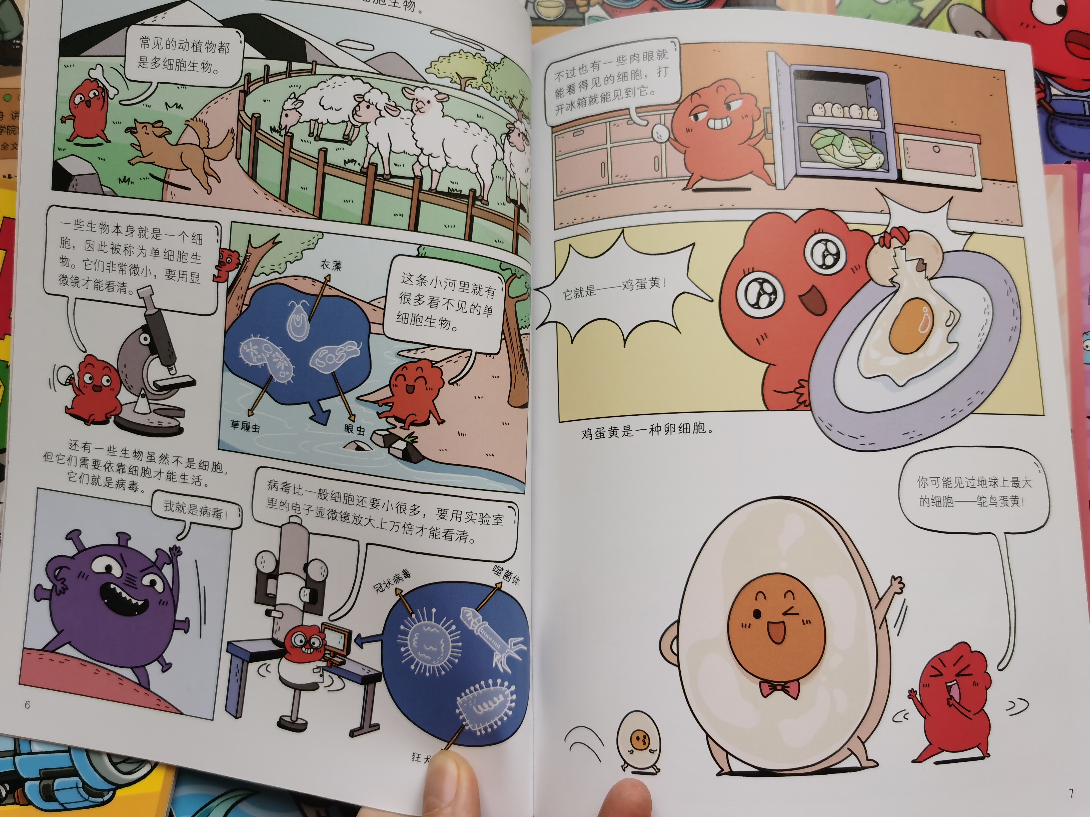 有趣又有料的漫画生物启蒙科普，为孩子开启生命探索之旅