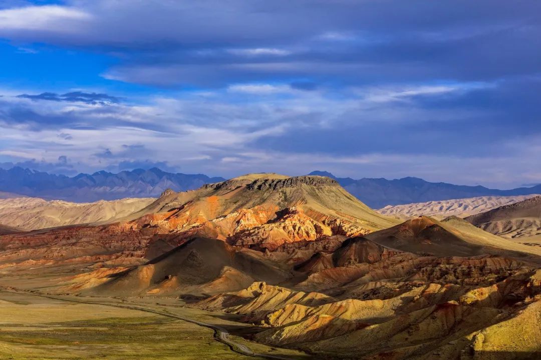 土特产无花果,无花果哪里最好吃最有营养