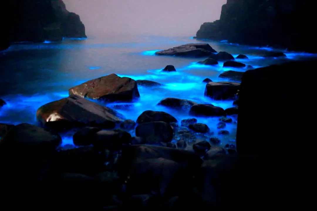 五大推荐去的海岛,江浙沪周边的8个绝美海岛