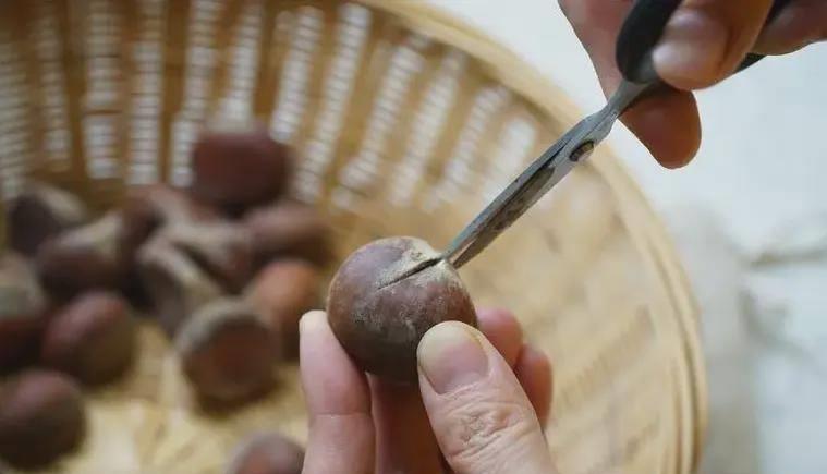 板栗壳难剥的做法,剥了硬壳的板栗的做法大全
