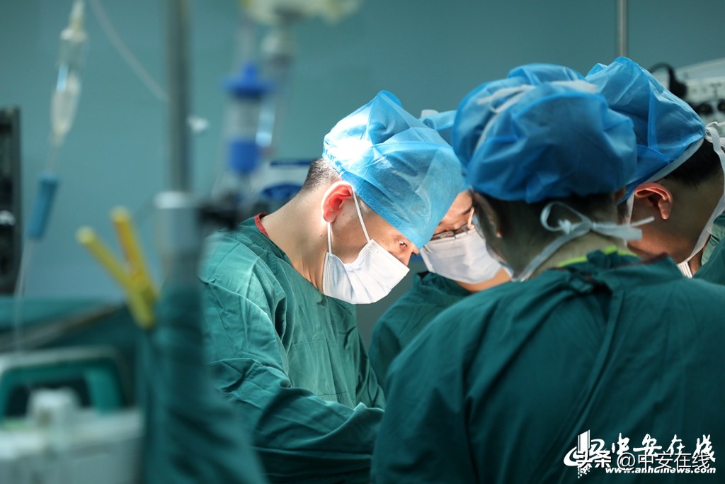 生命接力温暖传递,生命接力传递正能量