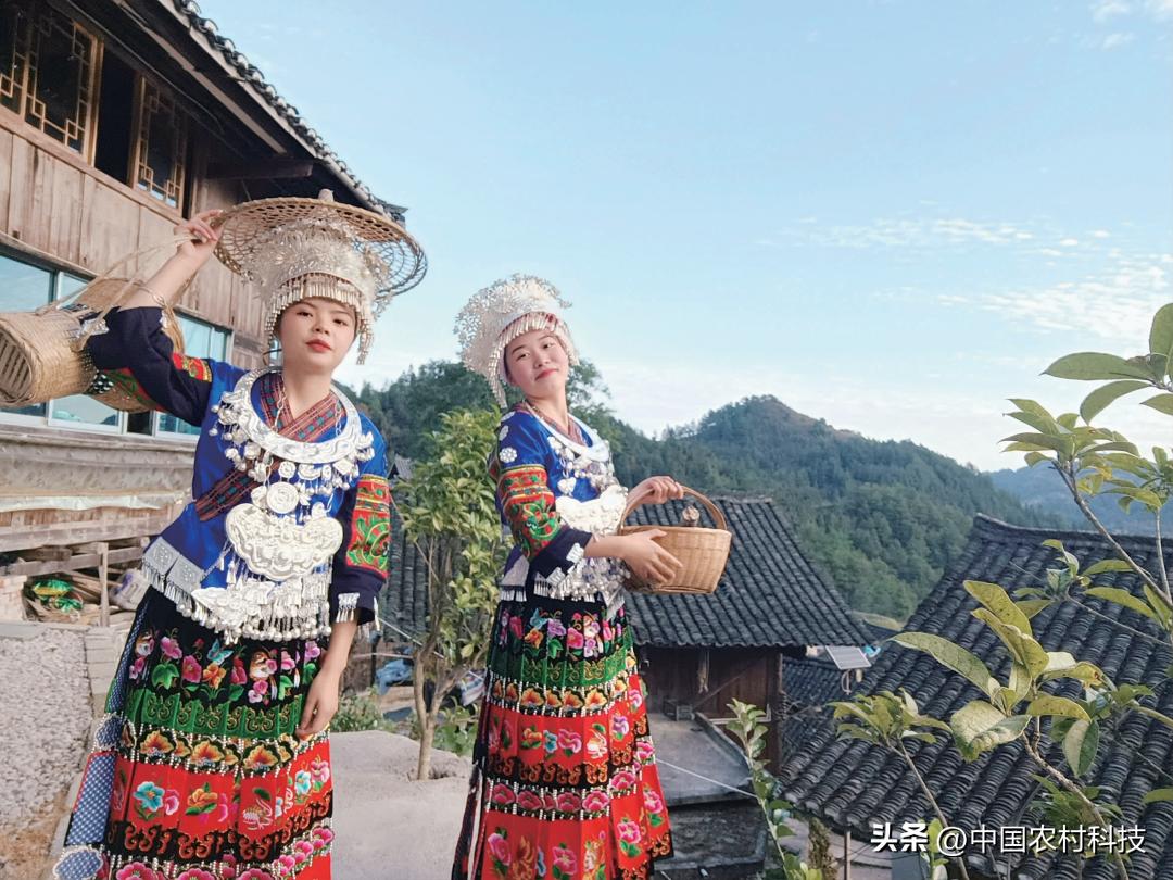 乡村振兴的公益创业,乡村振兴公益案例