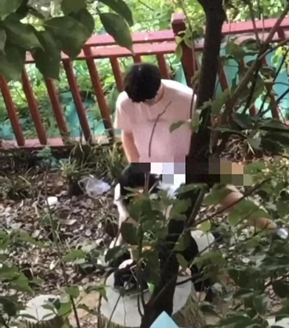 辽宁东北大学小树林事件,东北大学小树林事件