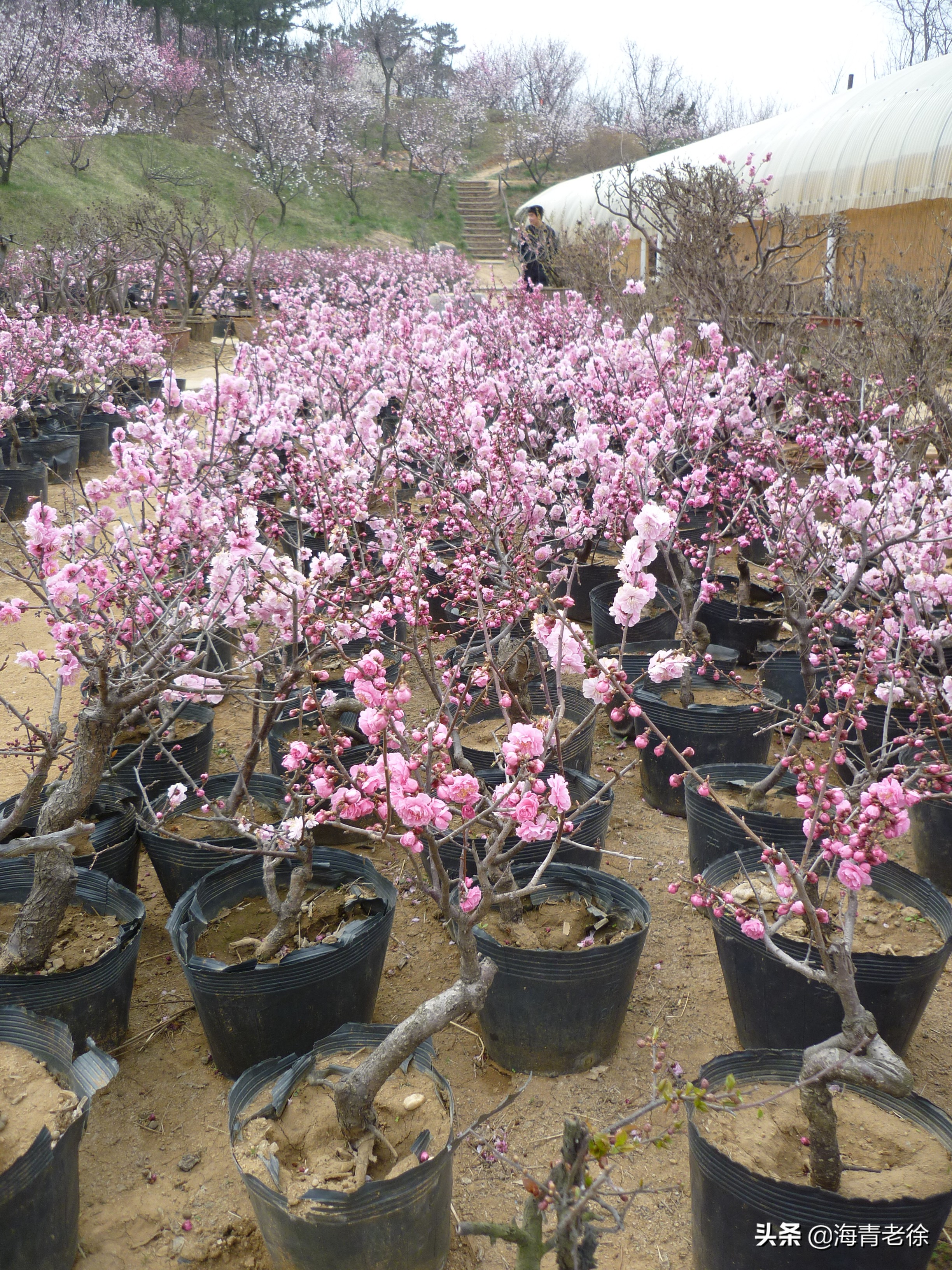 老徐新足迹,老徐自驾游视频