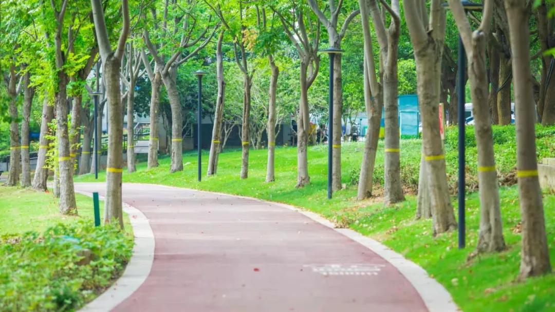 南京塑胶健身步道,10条南京最美步道