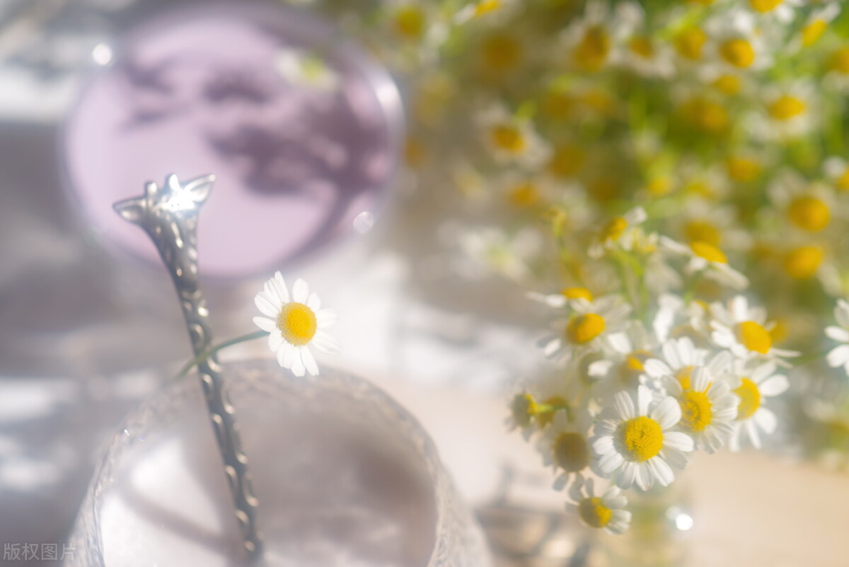 淡泊名利的人生感悟,淡泊名利是至高的人生境界