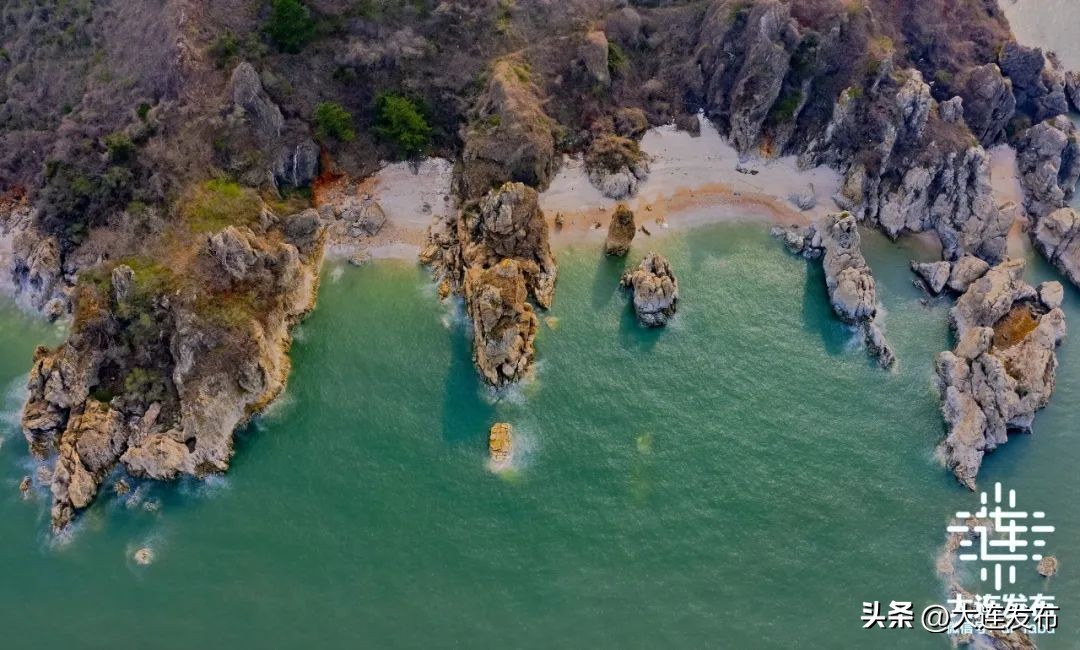 大连的生态全国排名,中国百强市辽宁大连