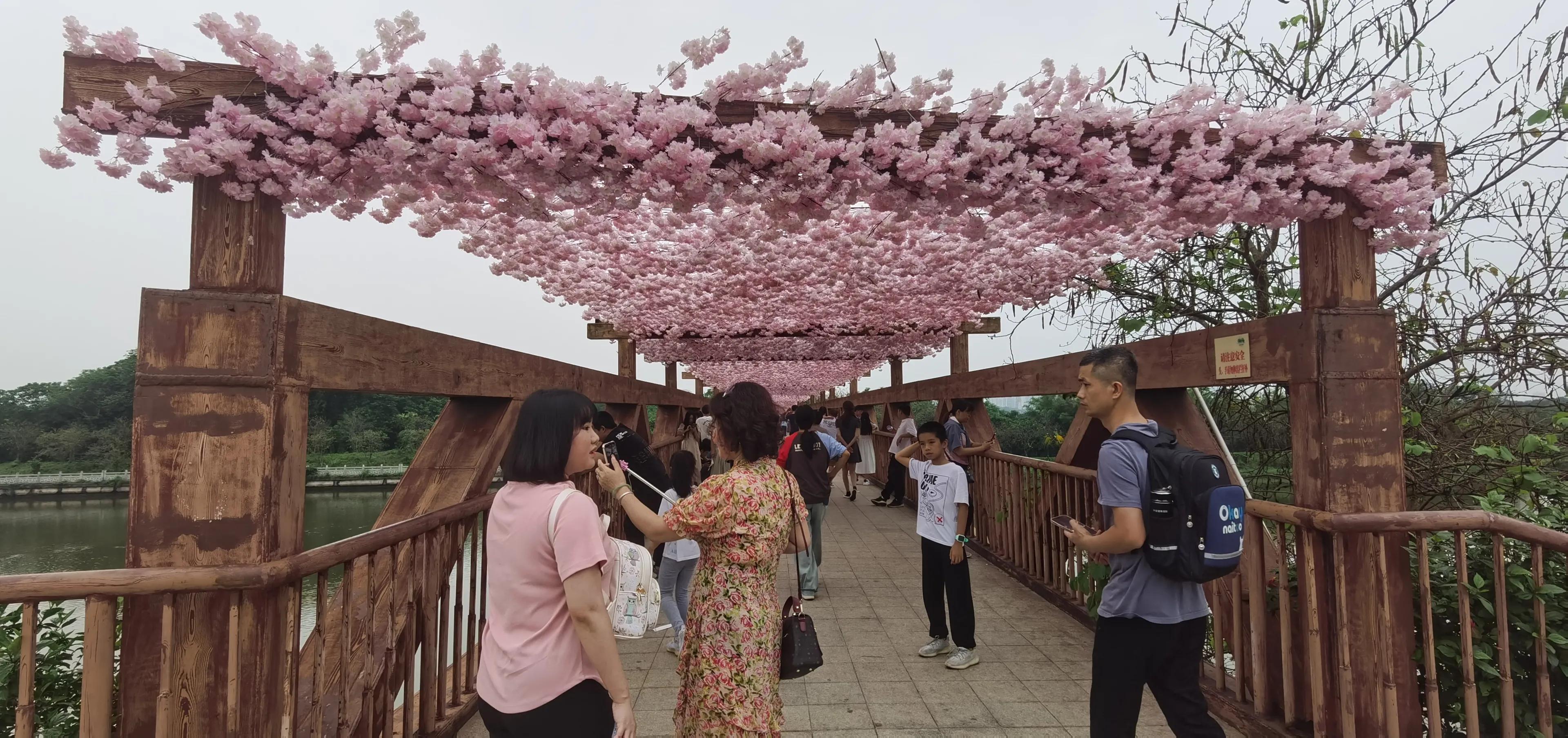 海珠湖湿地公园观鸟,海珠湖湿地公园地图