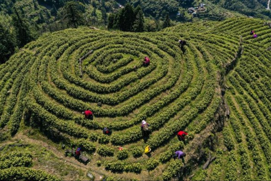 温州山水打卡点,温州市乡村旅游网红打卡地