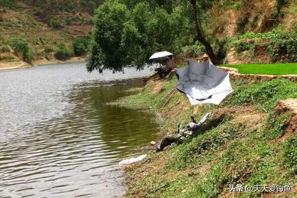 遇到走水还能传统钓鱼吗,遇到走水用什么浮漂