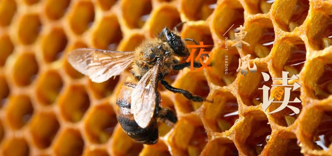 夜读文章800字,夜读的散文