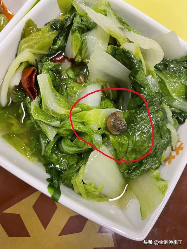 形象碎了一地!“啤酒大王”成都公司的食堂火了