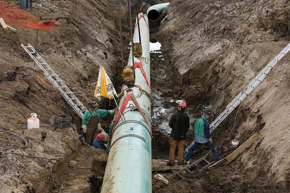 北溪事件德国的态度,德国闪击波兰后接下来的事件