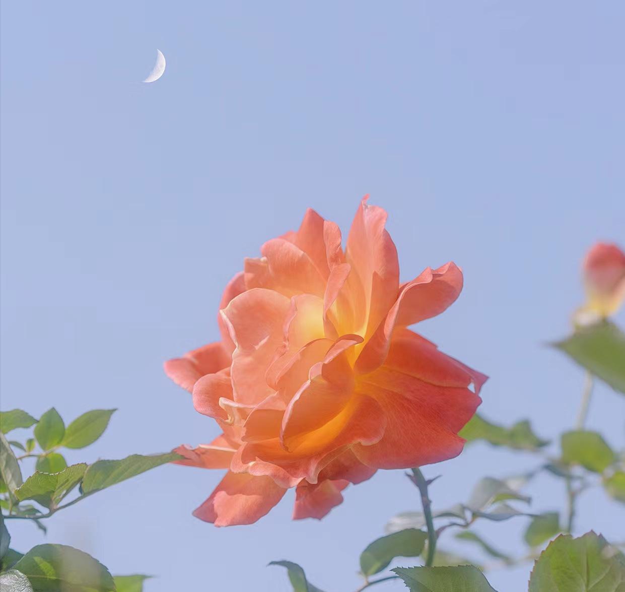 断联后男人多久会忍不住联系你,断联后男人开始思念你