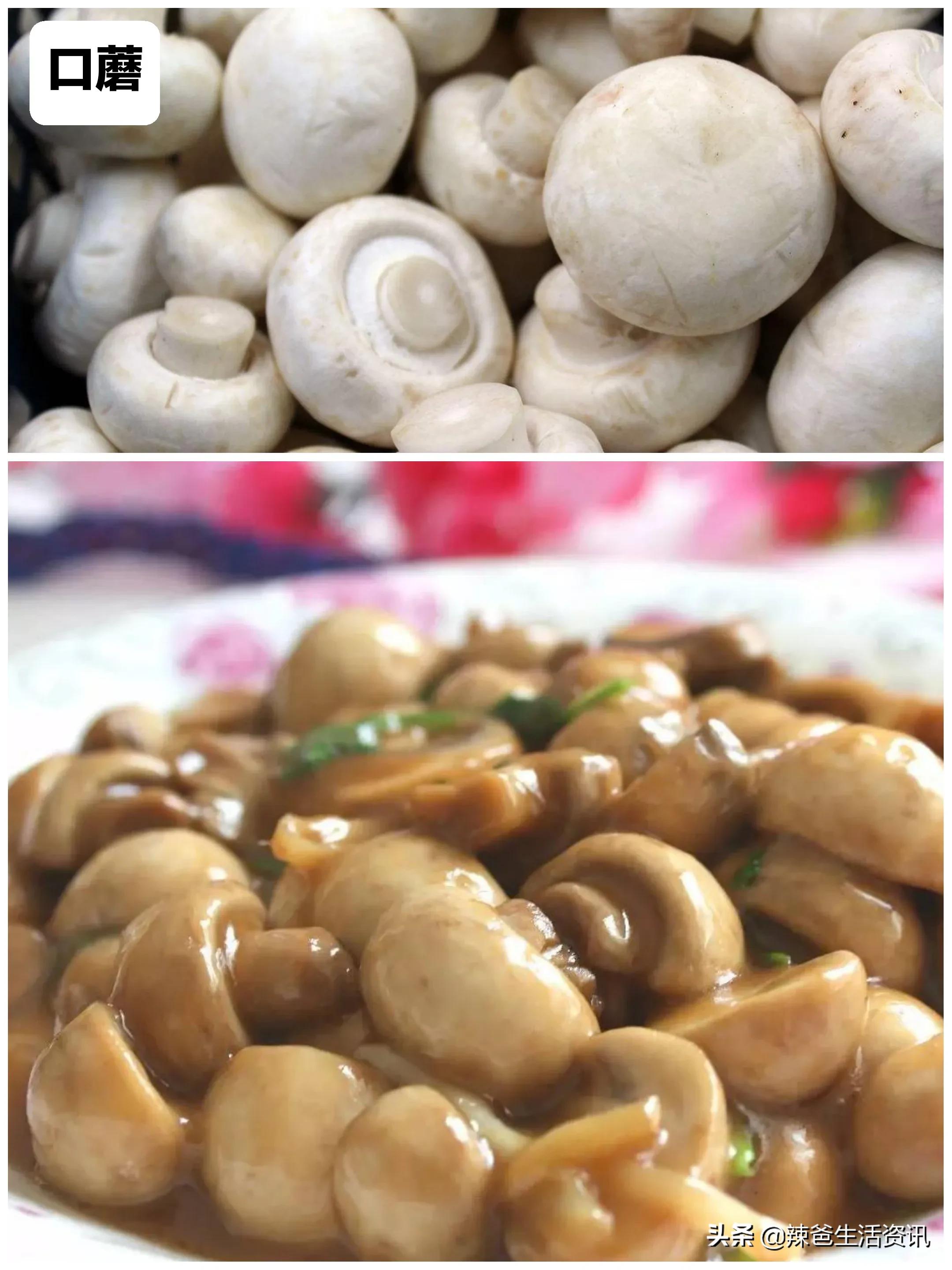 100种食用蘑菇大全,蘑菇的12种最佳吃法