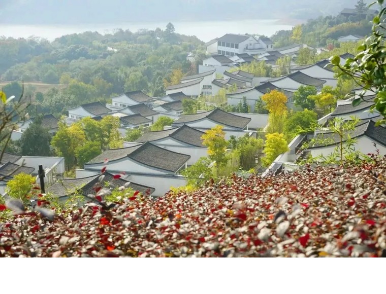 安吉阿丽拉酒店概况,浙江湖州安吉阿丽拉酒店