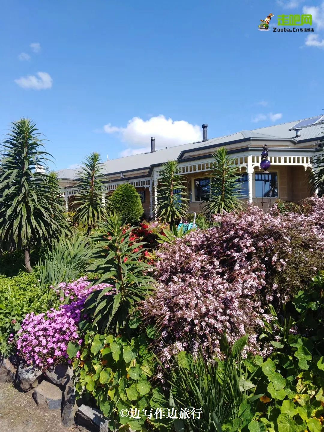 贫穷女大学生第一次出国旅行去哪,女生穷游4年游了24个国家