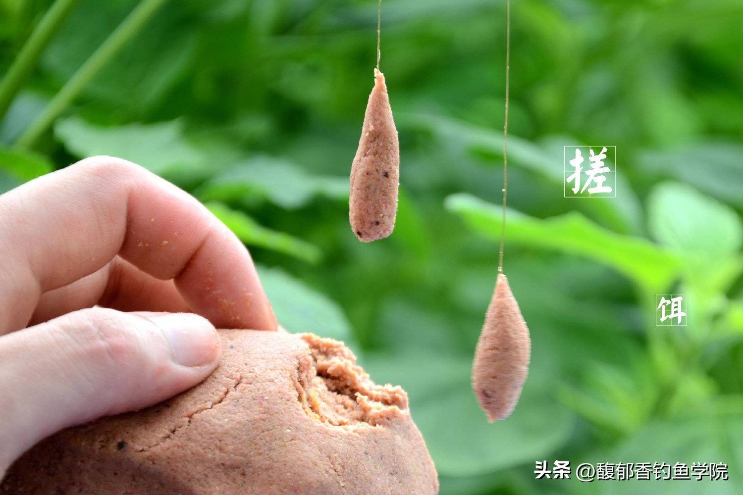 钓鱼鱼饵怎么买便宜的好用,渔具鱼饵怎么选