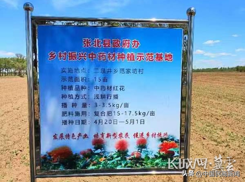 河北张北县：试种“小红花”开拓致富路
