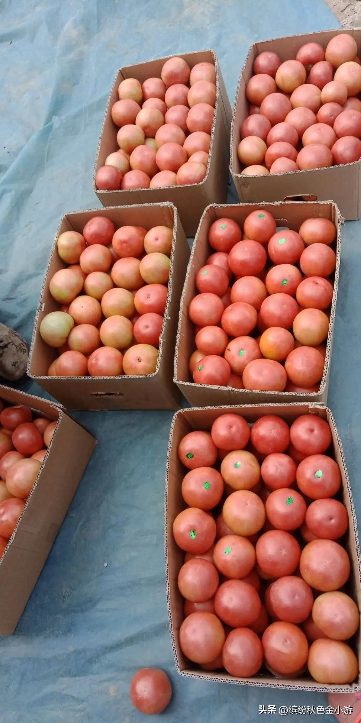 山西长治特产什么最好,长治特产好吃的