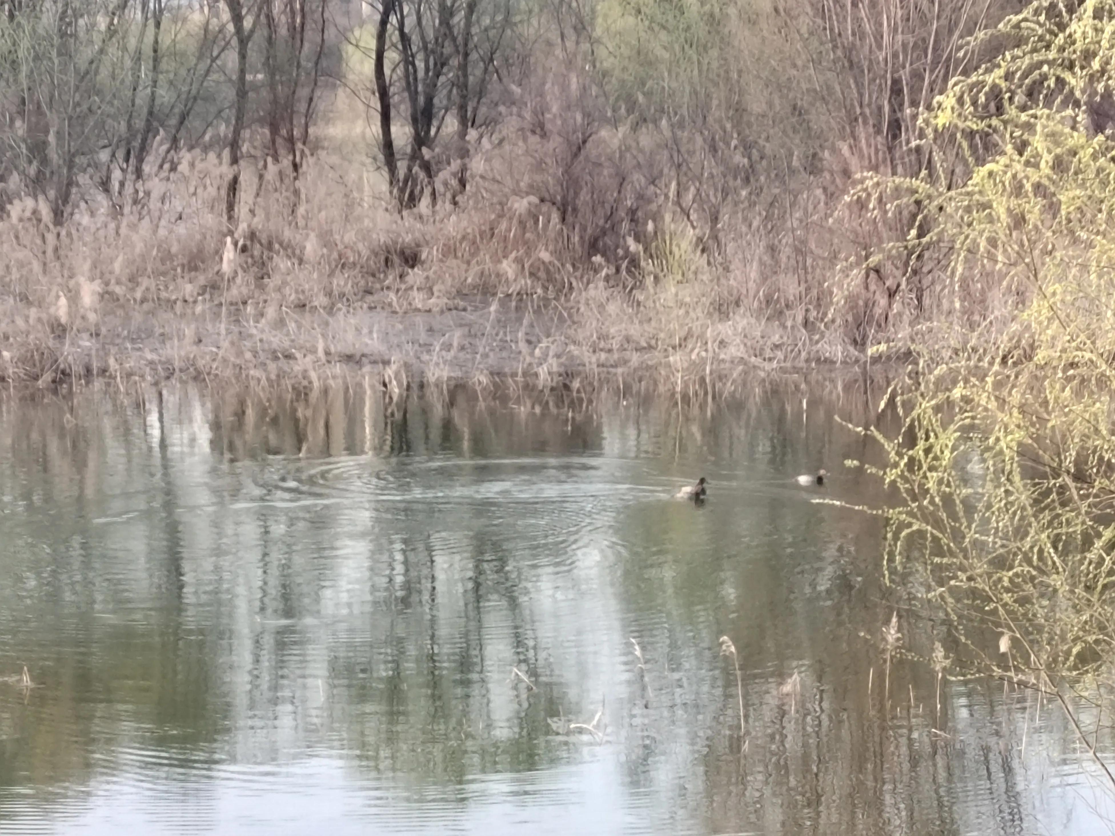 春天来了，美景再现，该踏青和锻炼身体了，为足球比赛储备体力。