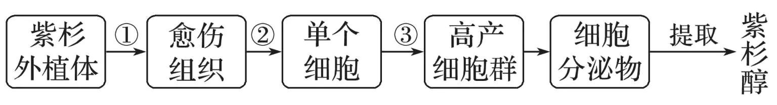高中生物细胞工程知识点归纳,高二细胞工程的易错点