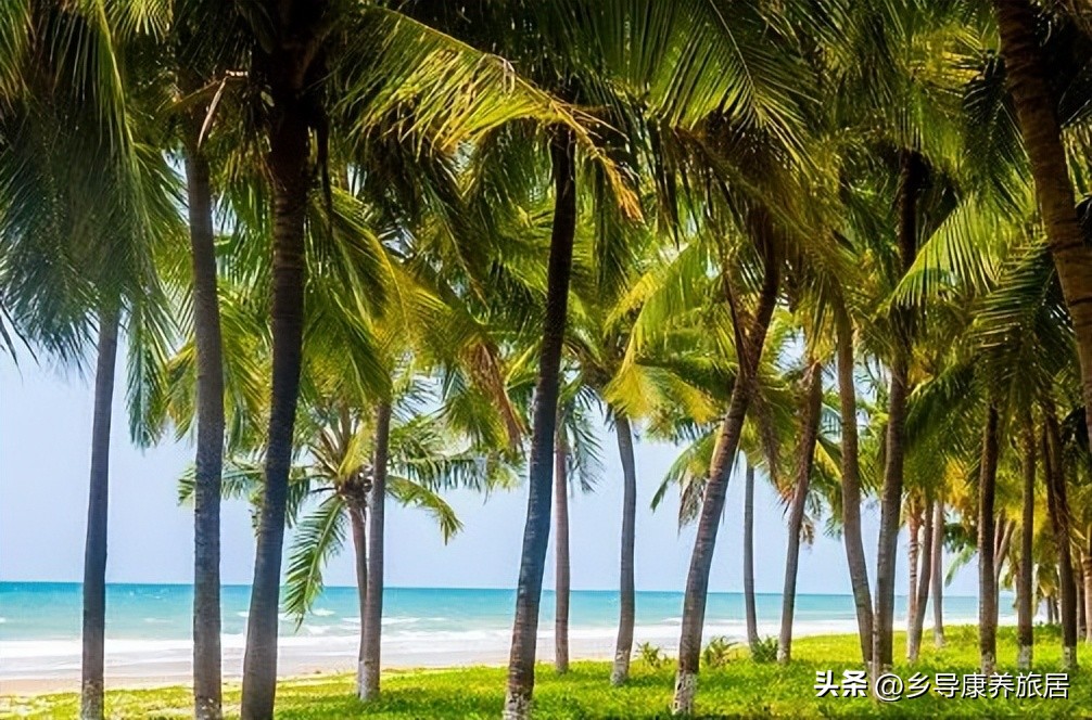 海南冬天过冬租房攻略 (去海南过冬租房房东都会提供什么)